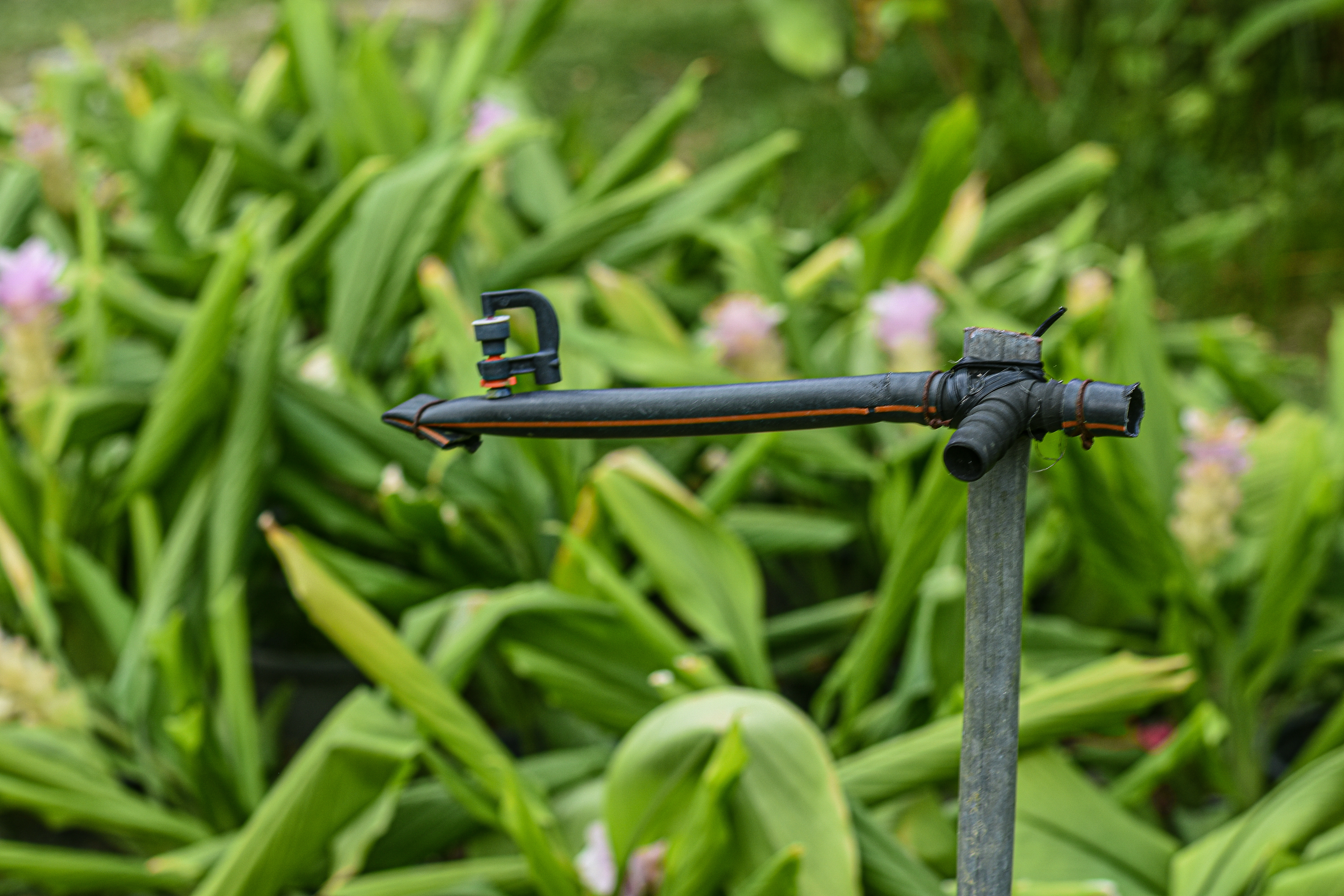 Зрошення ділянки: смарт рішення - Європейська Школа Дизайну 6