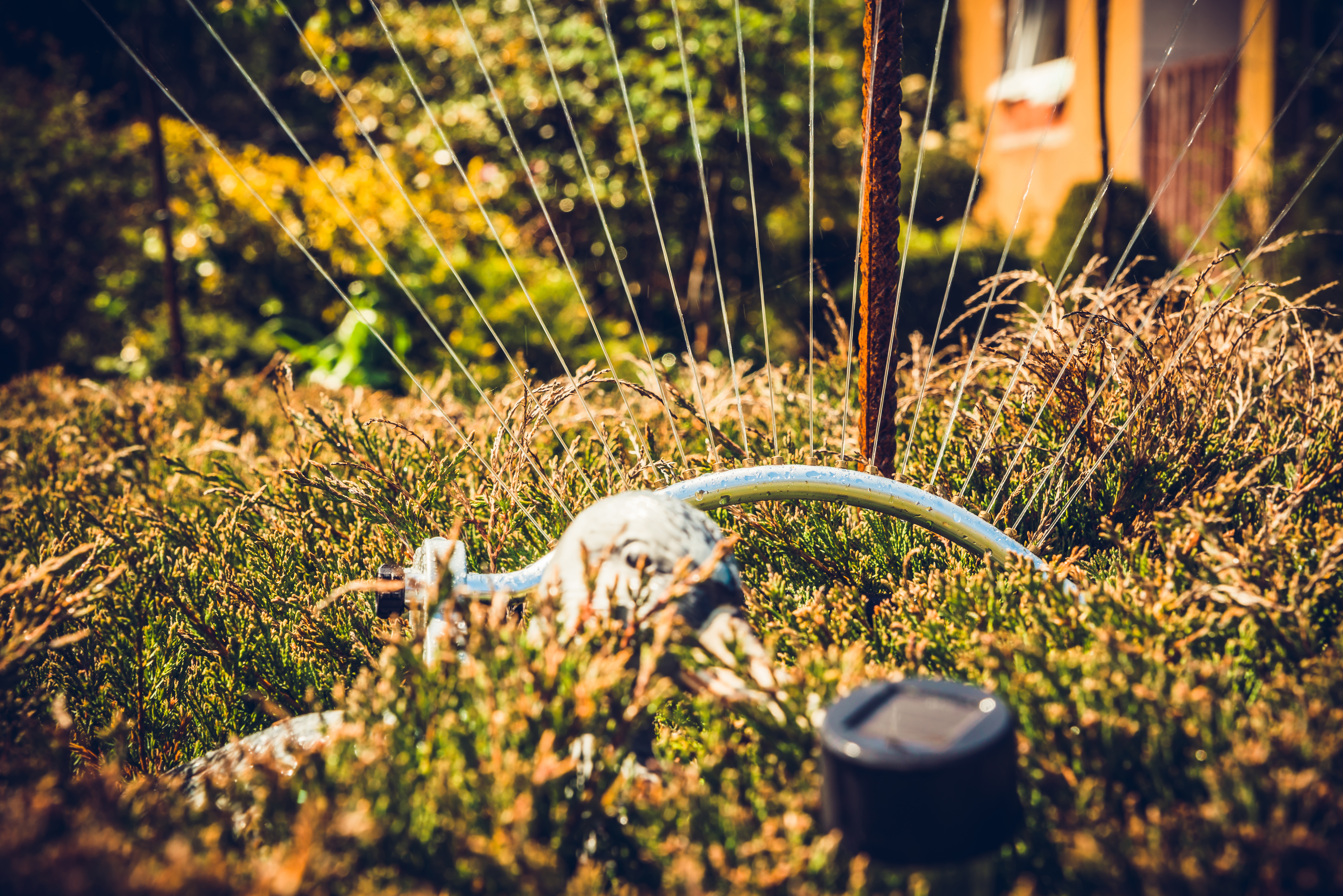 Орошение участка: смарт решения - Европейская Школа Дизайна 5 Орошение участка: смарт решения - Европейская Школа Дизайна 5