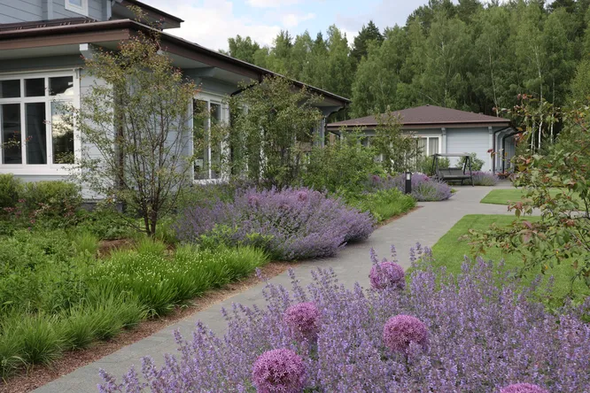 Сад без газону: сучасні ефективні рішення ландшафтного дизайну - Європейська Школа Дизайну 6