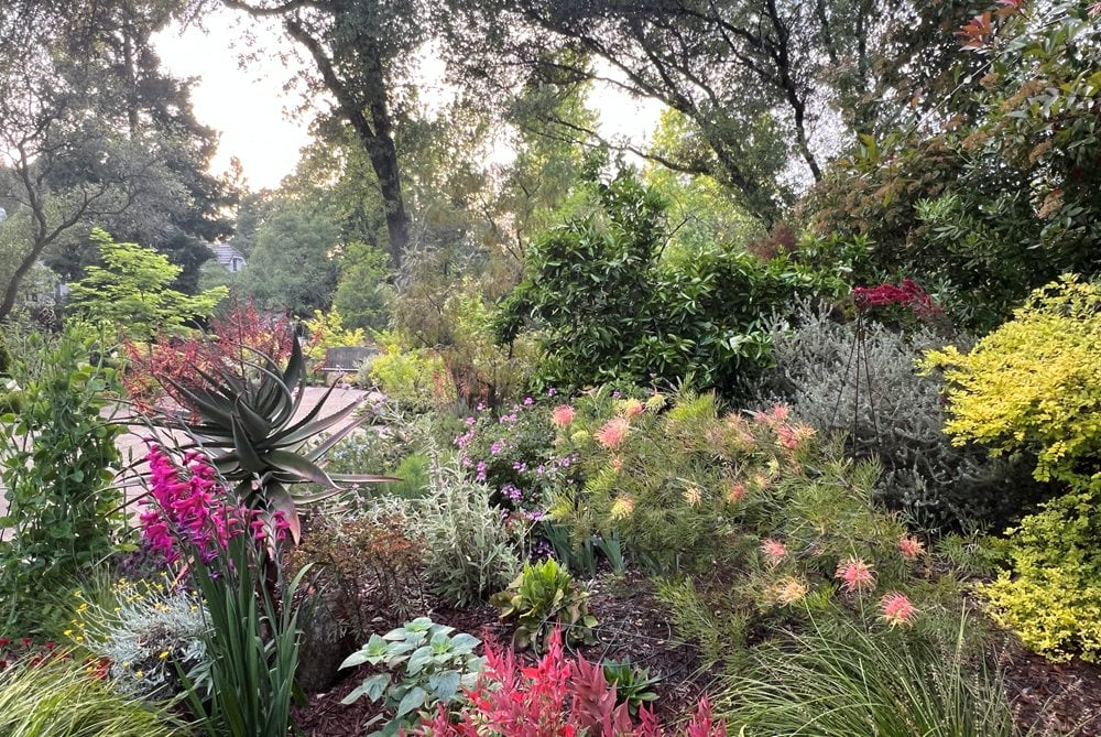 Ландшафтний дизайн: тренди 2026 - Європейська Школа Дизайну 7