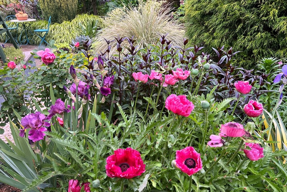 Ландшафтный дизайн: тренды 2026 - Европейская Школа Дизайна 8 Ландшафтный дизайн: тренды 2026 - Европейская Школа Дизайна 8