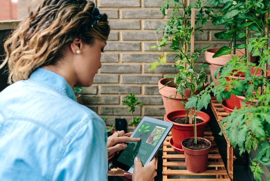 Ландшафтный дизайн: тренды 2026 - Европейская Школа Дизайна 9 Ландшафтный дизайн: тренды 2026 - Европейская Школа Дизайна 9