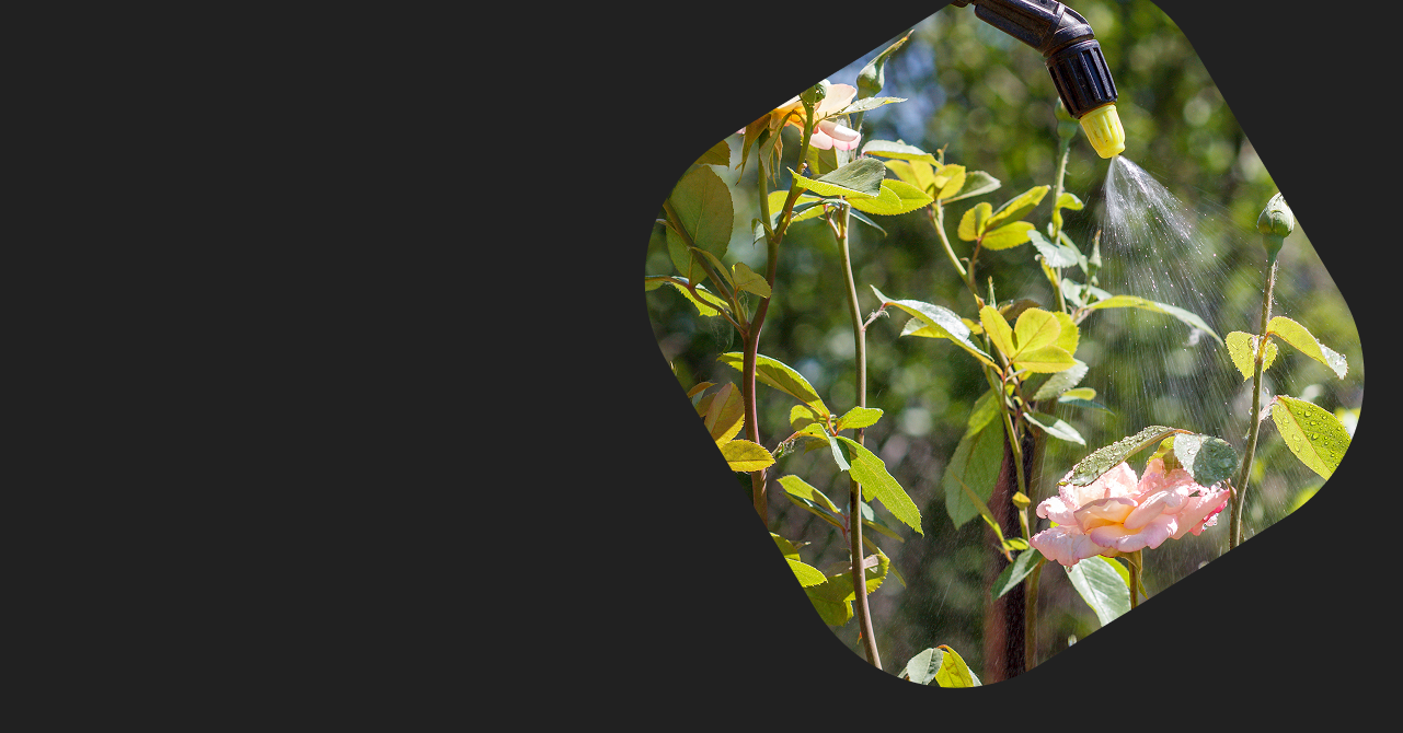 Выпускникам EDS - Европейская Школа Дизайна 10