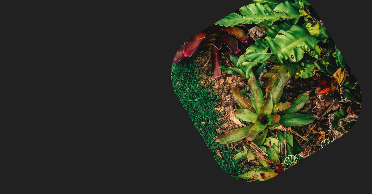 Клуб дизайнеров EDS-club - Европейская Школа Дизайна 9